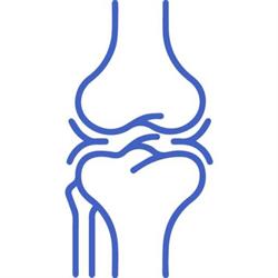 Orthopädie Dr. Shnawa, Wien Öffnungszeiten