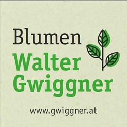 Blumen Walter Gwiggner, Wörgl Öffnungszeiten