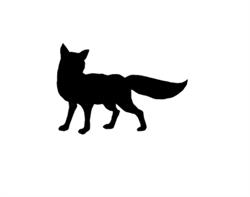 Fuchs Bogensport, Rottenmann Öffnungszeiten
