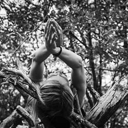 Raum Nussbaum - Yoga/Yogatherapie/Bowen Mödling, Öffnungszeiten