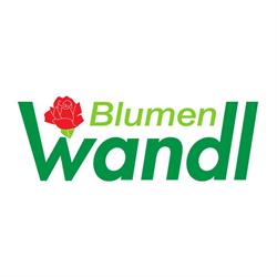 Blumen Wandl - Gärtnerei, Linz Öffnungszeiten
