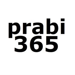 Praschl-Bichler It Consulting - prabi365, Laab im Walde Öffnungszeiten