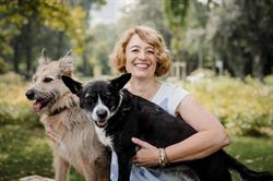 Project Canis Hundetraining, Wien Öffnungszeiten