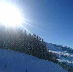 Schischule Alpin-Profis Kirchberg in Tirol, Öffnungszeiten