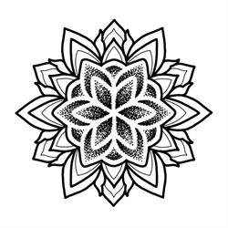 Wludarz Tattoo Collective, Traun Öffnungszeiten