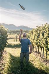 Bioweingut Viktor Fischer, Traismauer Öffnungszeiten