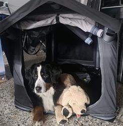 Camping Bergler Vorzeltausstellung und Zubehörshop Graz, Öffnungszeiten