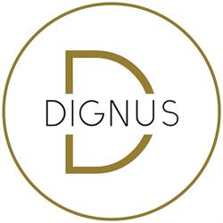 Dignus Advisors GmbH, Mödling Öffnungszeiten