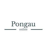 Pongau Online, Saalfelden am Steinernen Meer Öffnungszeiten
