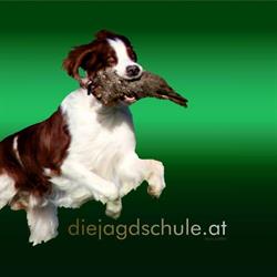 diejagdschule.at, St. Martin im Sulmtal Öffnungszeiten
