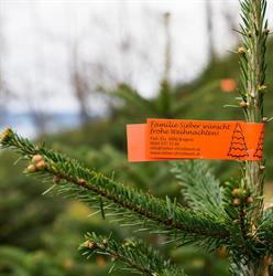 Sieber Christbäume, Bregenz Öffnungszeiten