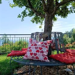 Urlaub Am Steinerhof, Liebenfels Öffnungszeiten