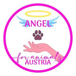 Angel for Animals, Felixdorf Öffnungszeiten