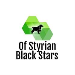 of Styrian Black Stars, Pirching am Traubenberg Öffnungszeiten