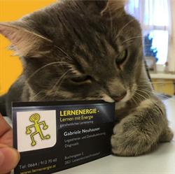 LERNENERGIE - Lernen mit Energie, Lanzenkirchen Öffnungszeiten