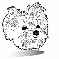 Hundesalon Gonzalez Eva-Maria, Graz Öffnungszeiten