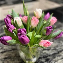 Blumen Pogatschnig, Klagenfurt am Wörthersee Öffnungszeiten