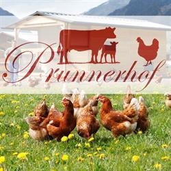 Prunnerhof, Gmünd Öffnungszeiten