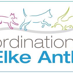 Ordination Elke Antl- ganzheitliche Tierarztpraxis, Furth bei Göttweig Öffnungszeiten