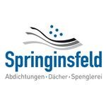 Springinsfeld Bedachungen GmbH, Kirchdorf in Tirol Öffnungszeiten