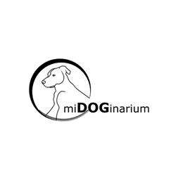 midoginarium, Lustenau Öffnungszeiten