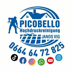 Janos Vig e.U. Picobello, Wieselburg Öffnungszeiten