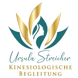 Kinesiologische Begleitung Ursula Streicher, Wallsee Öffnungszeiten