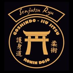 Jiu Jitsu - Goshindo Ronin Dojo, Pöttsching Öffnungszeiten