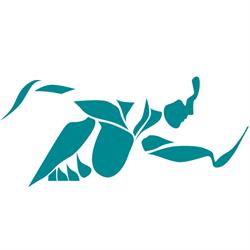 OPTIMUM Training - Personal Training, Wien Öffnungszeiten