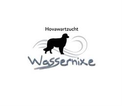 Hovawarte von der Wassernixe, Friedersbach Öffnungszeiten