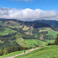 Prädasten-Hof, Wildschönau Öffnungszeiten
