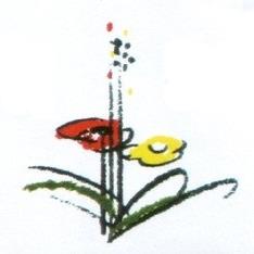 Gärtnerei & Blumen Leithinger, Vorchdorf Öffnungszeiten