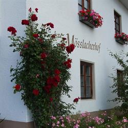 Mösslacherhof, Hermagor-Pressegger See Öffnungszeiten