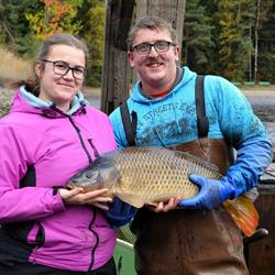 Hofbauer's Waldviertler Fische, Heidenreichstein Öffnungszeiten