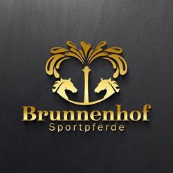 Brunnenhof Sportpferde, Vöcklamarkt Öffnungszeiten