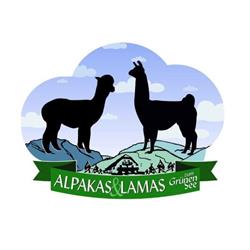 Alpakas, Lamas und Rentiere zum Grünen See, Tragöß Öffnungszeiten
