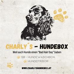 Charly's Hundebox - Hundefrisör, Irdning Öffnungszeiten