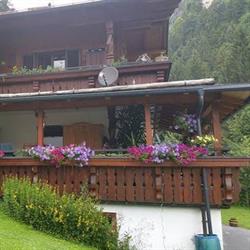 Appartement Petra, Kössen Öffnungszeiten