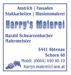 Harry's Malerei Inh. Harald Schwarzenbacher, Schorn Öffnungszeiten