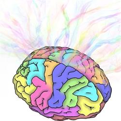 Psychologische Diagnostik, Bad Erlach Öffnungszeiten