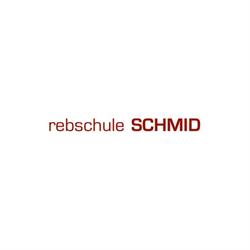 rebschule SCHMID, Hadres Öffnungszeiten