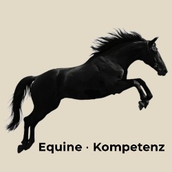 Equine-Kompetenz, Pöckau Öffnungszeiten